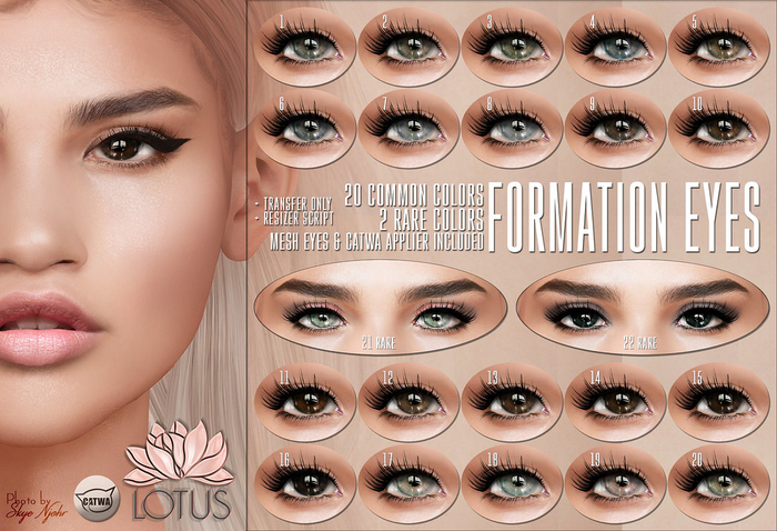 LOTUS. Formation Eyes 06 BOX