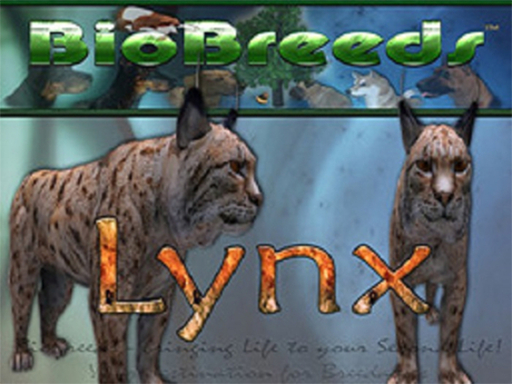 BB Lynx Box