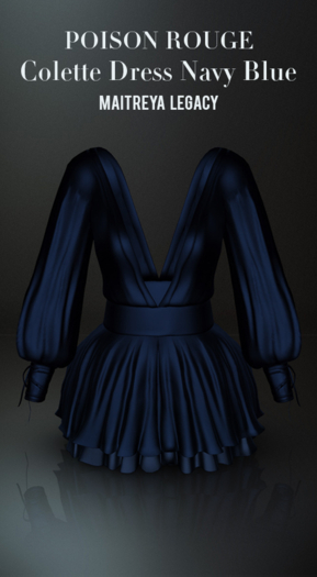 POISON ROUGE Colette Dress Navy Blue