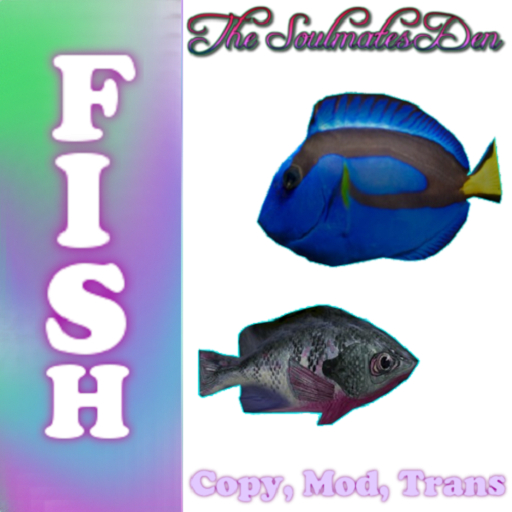 {SMD} School of Fish A