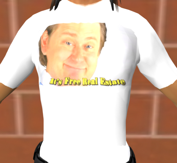 Free Real Estae T