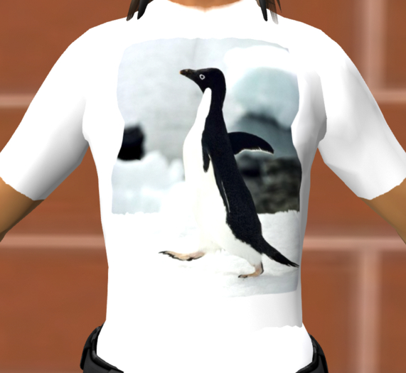 Awkward Penguin OG T