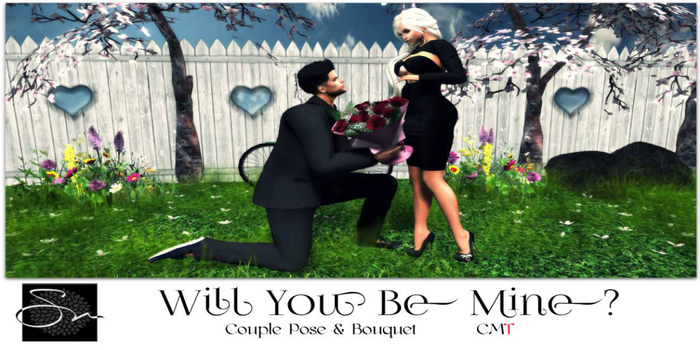 **SN~ Will You Be Mine?