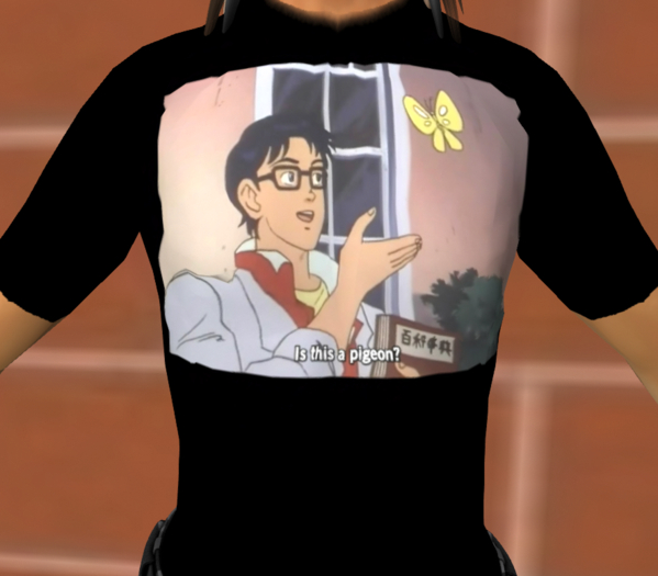 Is This A Pigeon T