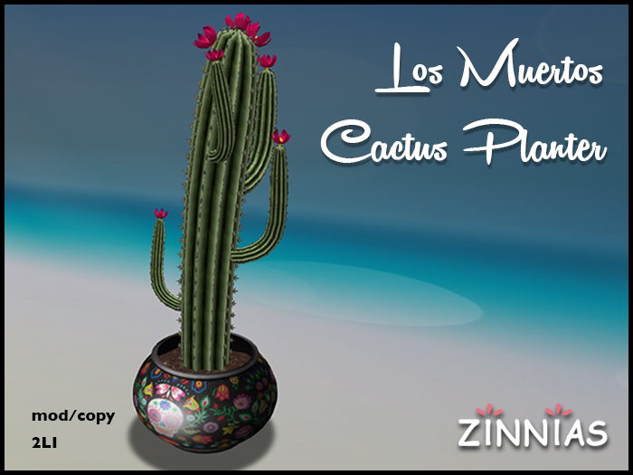 Zinnias Los Muertos Cactus Planter