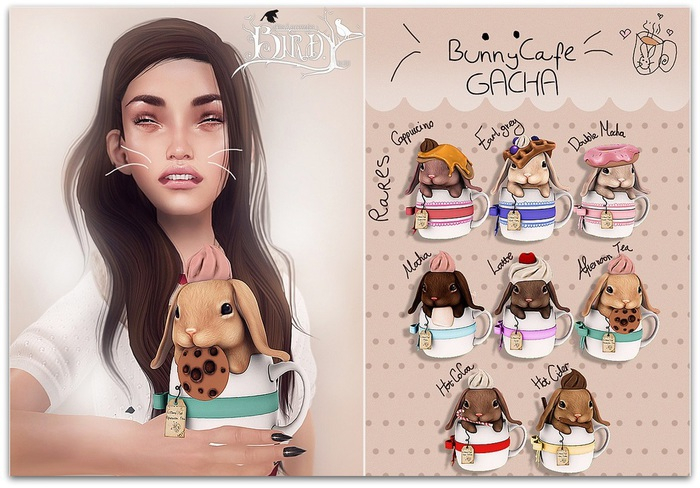 .Birdy. Bunny Cafe {Hot CoCoa} [BOX]