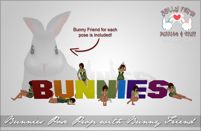 BUNNIES Pose Prop & Bunny Friend by Jolly Farm