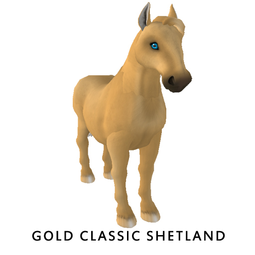 Amaretto Breedable Bundle Gold Classic Shetland 4