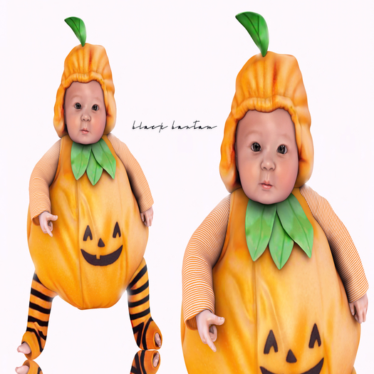 *[Black Bantam] My Pumpkin Punkin Baby Girl 03