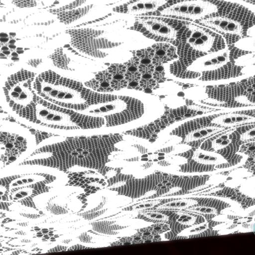 curtain weiss 4x2,45