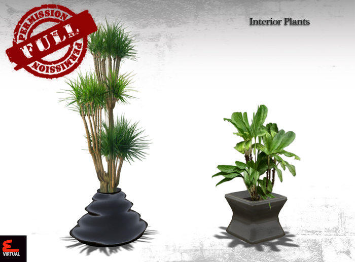FULL PERMISSIONS - Plants - Dracaena & P07 Full Perm