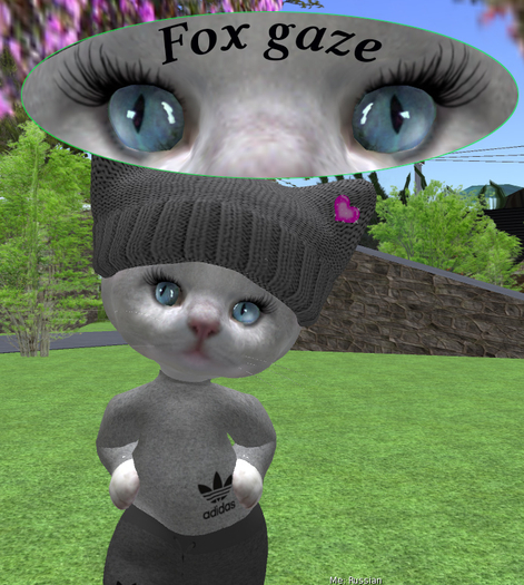 Eyelashes - Fox gaze