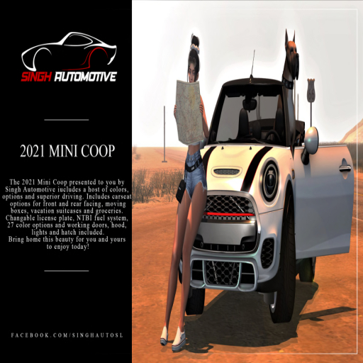 Singh Automotive - 2018 Mini Coop (FL)