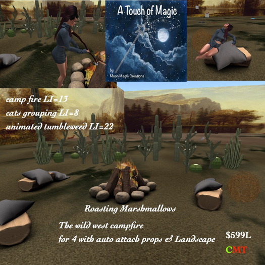 Wild west campfire for 4 & landscape-Box