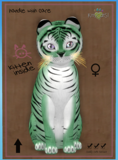 KittyCatS Box - Tiger! - Dusky Green