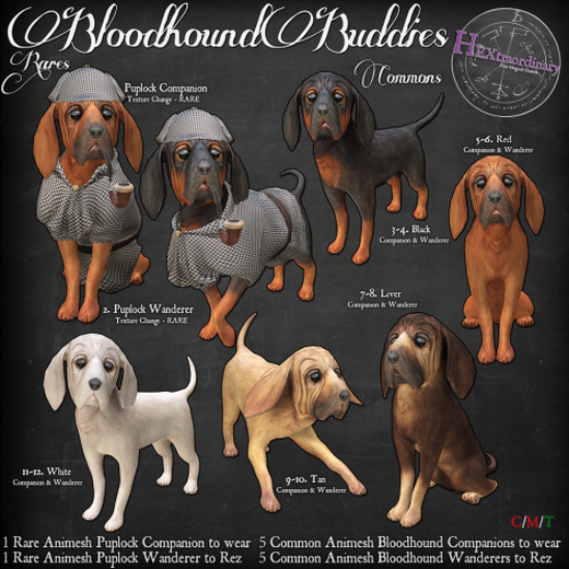 2. *HEXtraordinary* Bloodhound Buddies - Puplock Wanderer- RARE