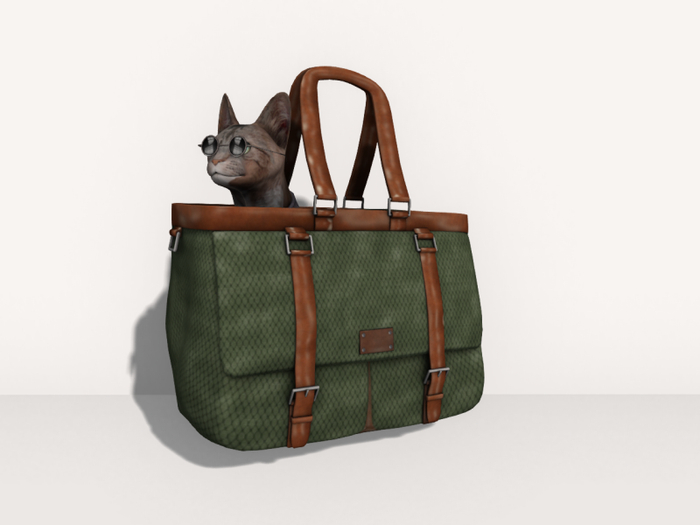 RARE Cat in a Bag/Moss / wear