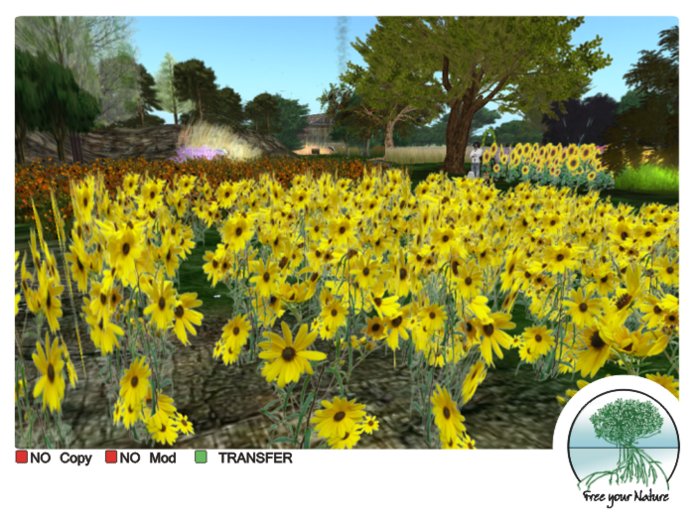 - Patch Daisies Yellow -