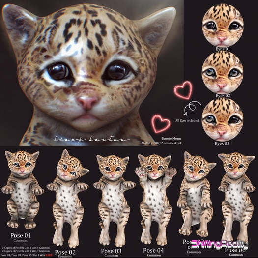 **[Black Bantam] Tiny Leopard Pose 02 2 Copies