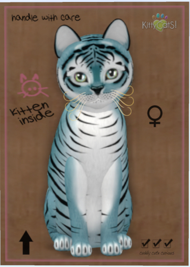 KittyCatS Box - Tiger! - Dusky Blue