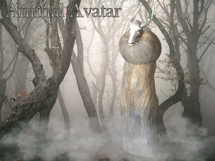 Animal Avatar