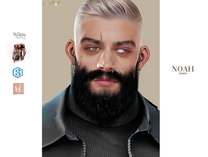 NOAH SHAPE (ALAIN 2.5)