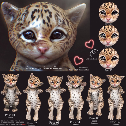 **[Black Bantam] Tiny Leopard Pose 03