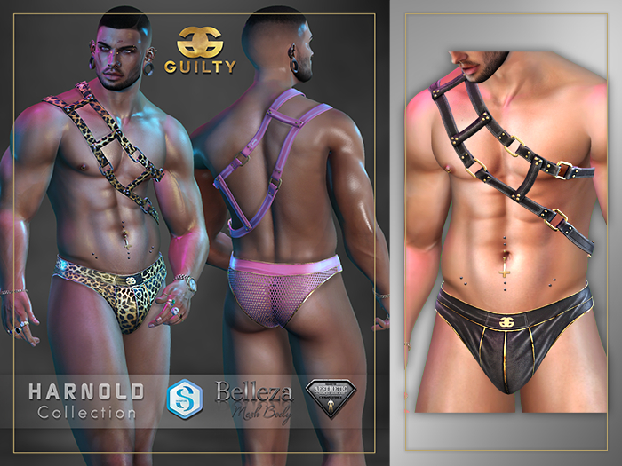 [GUILTY] 049 HARNOLD BLACK