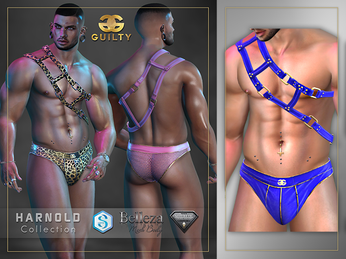 [GUILTY] 049 HARNOLD BLUE