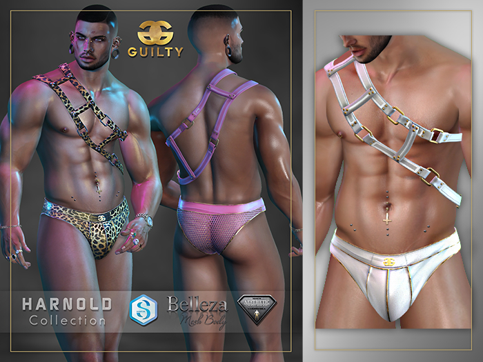 [GUILTY] 049 HARNOLD WHITE