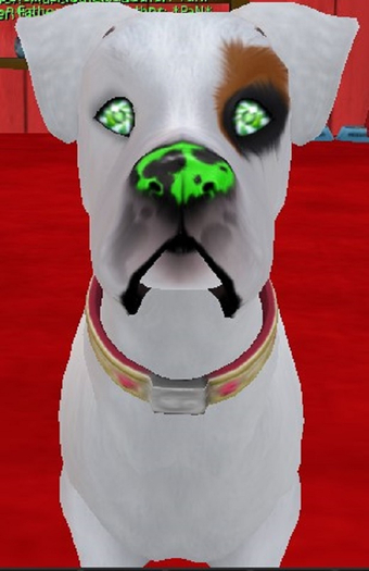 Amaretto Breedable K9 Kennel