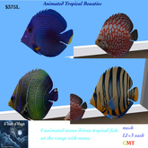 Tropical Beauties animated menu driven fish-Box