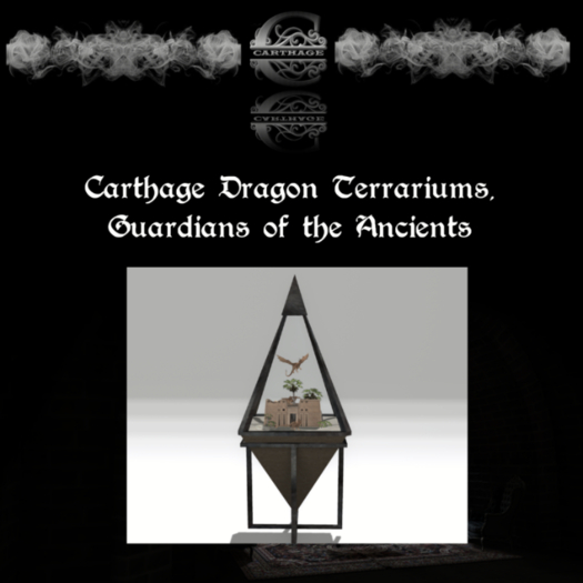 Carthage Dragon Terrarium  Guardians of the Ancients