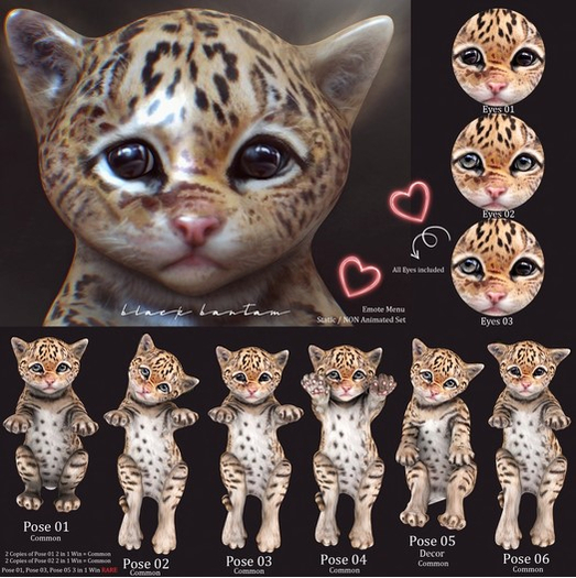 **[BB] Tiny Leopard 01, 03 & 05 3 Prize RARE
