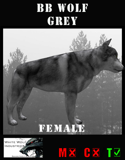 BB Wolf Grey, female, Lefty