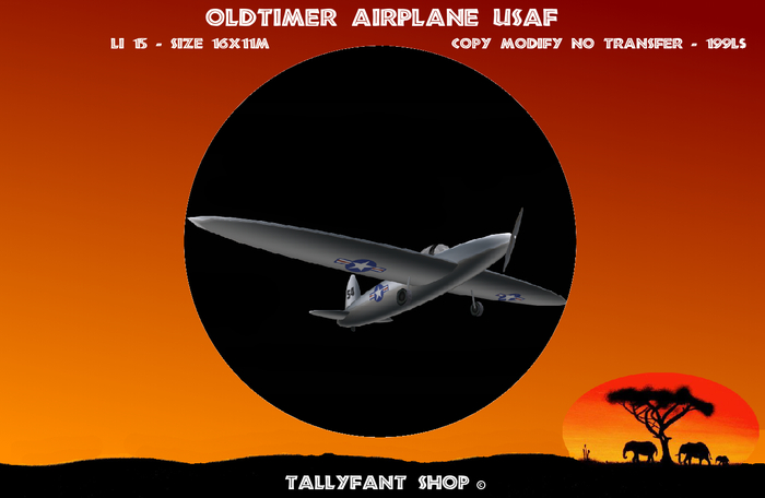Oldtimer Airplane Static