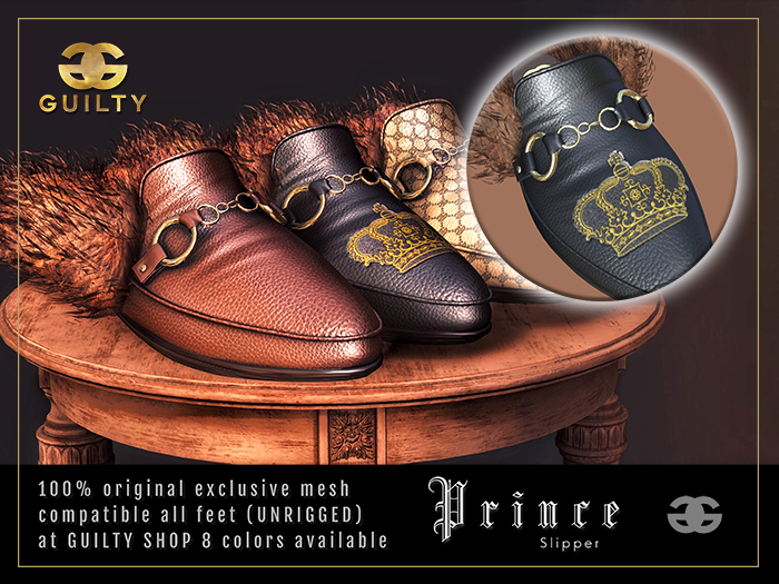 [GUILTY] MOD 047 SLIPPER PRINCE 08
