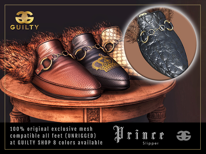 [GUILTY] MOD 047 SLIPPER PRINCE 05