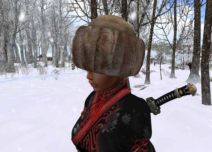 Warm Fur Hat MESH