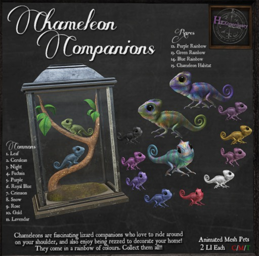 *HEXtraordinary* Chameleon Companion - Purple Rainbow - RARE