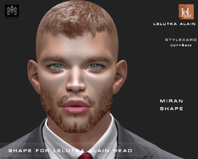 ::TW:: MIRAN SHAPE  FOR  LELUTKA HEAD ALAIN 2.5 