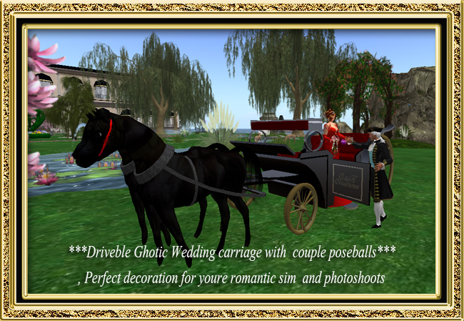 G&T Drivable Ghotic  wedding carriage