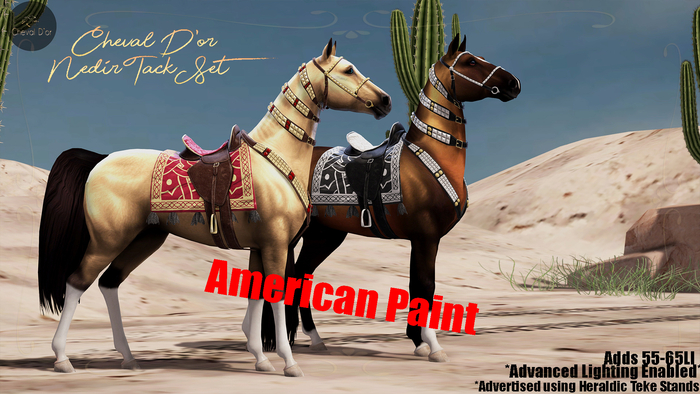 Cheval D'or / TeeglePet AMPH / Nedir Tack Set.