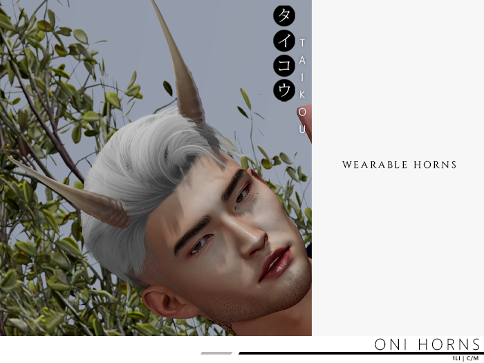taikou / oni horns