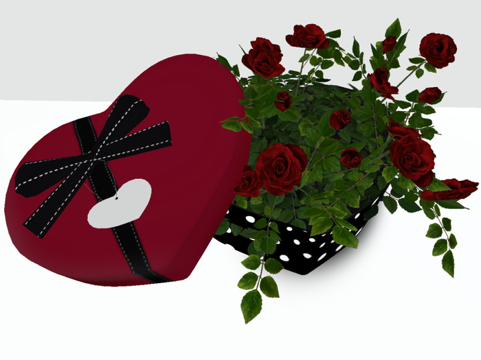 [AE] Gift Shop - Red Rose Plant in Heart GB