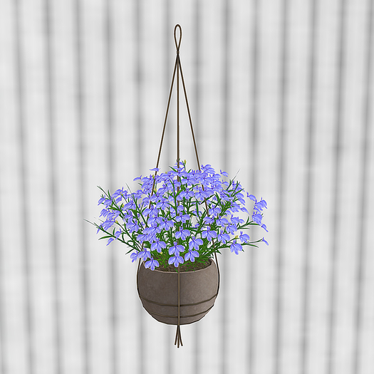 F.P. Plant - 013 ADD