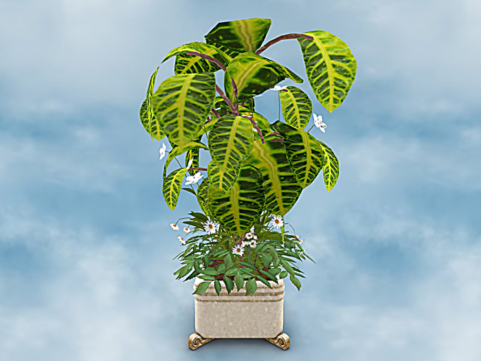 F.P. Plant - 050 ADD
