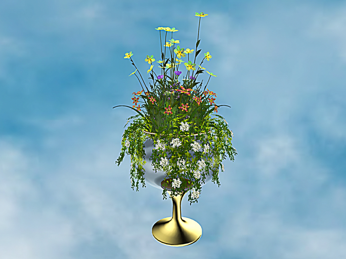 F.P. Plant - 054 ADD