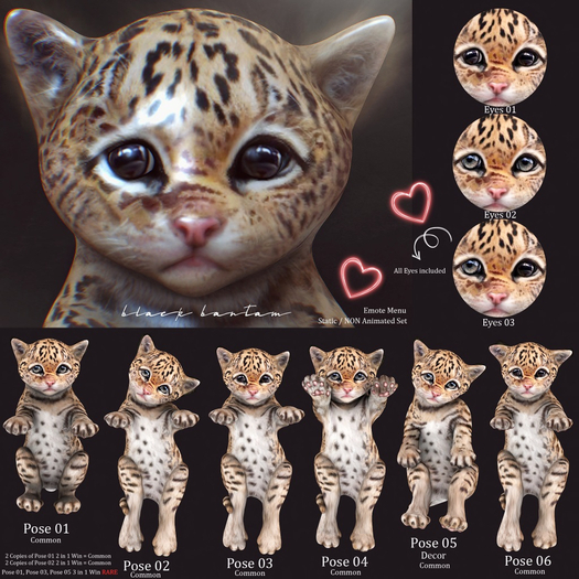 **[Black Bantam] Tiny Leopard Pose 02