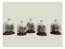 [AE] Gift Shop- Glass Encased Bear Essentials Collection Set of